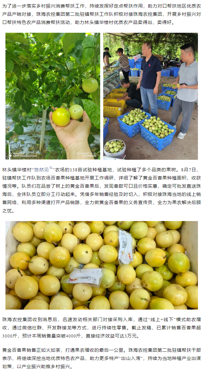 珠海農控集團助力產(chǎn)銷對接 對口幫扶果香飄百里.png